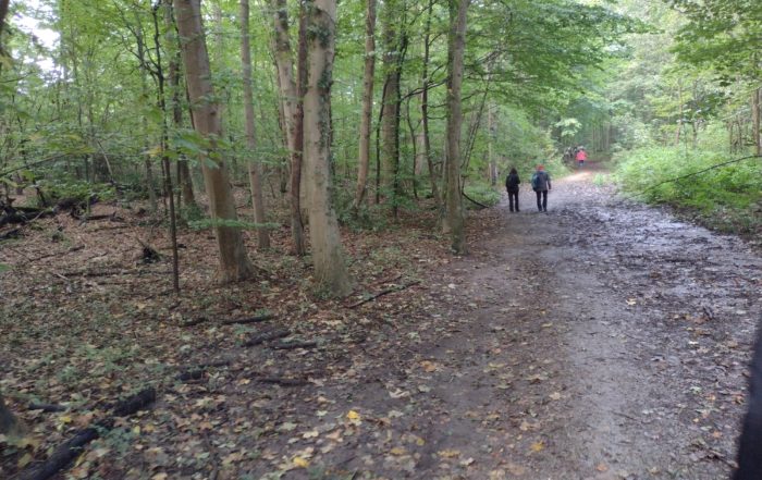 unterwegs auf dem Baldeney-Steig